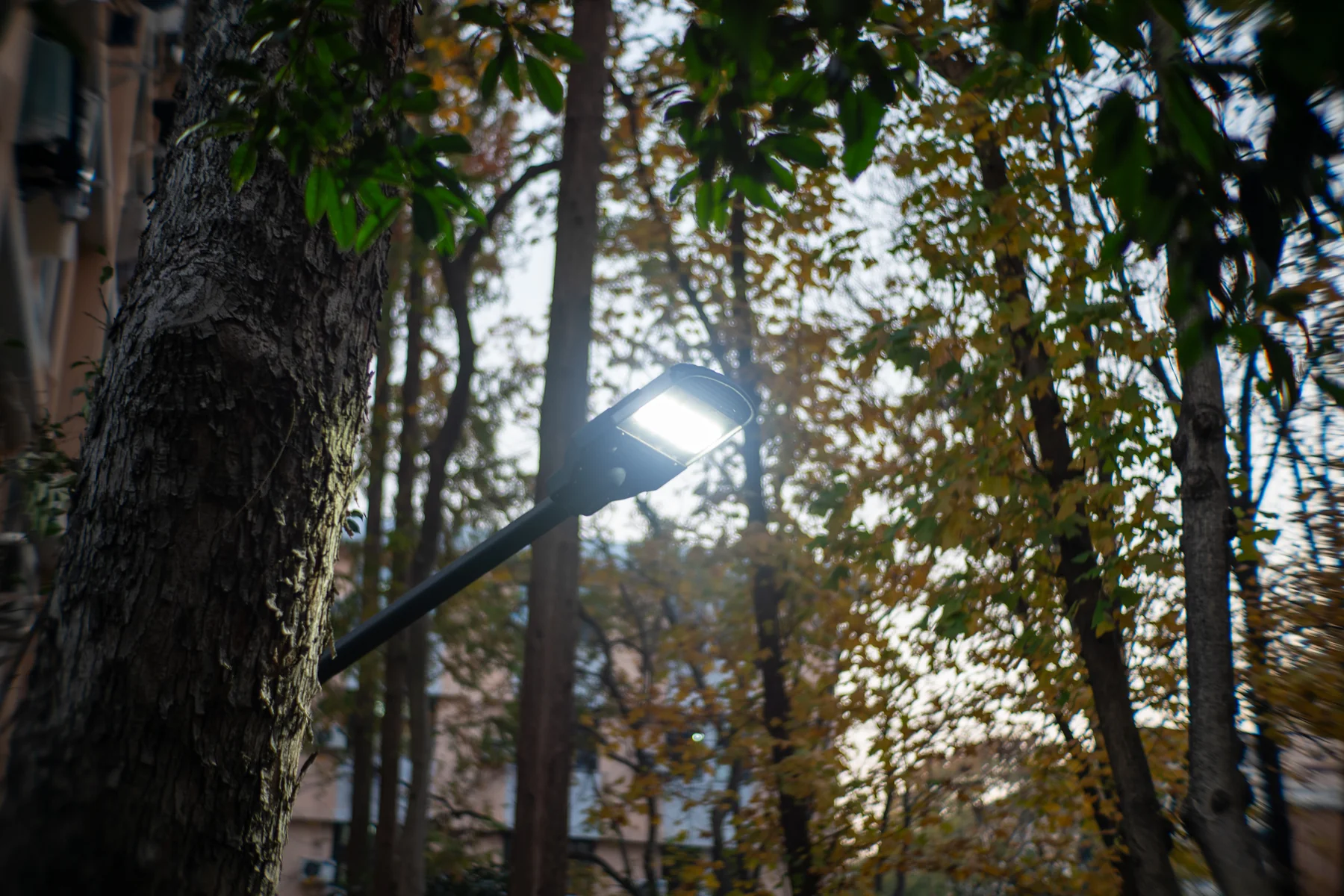 TS35 抗炫光测试样张，光圈 f/1.6