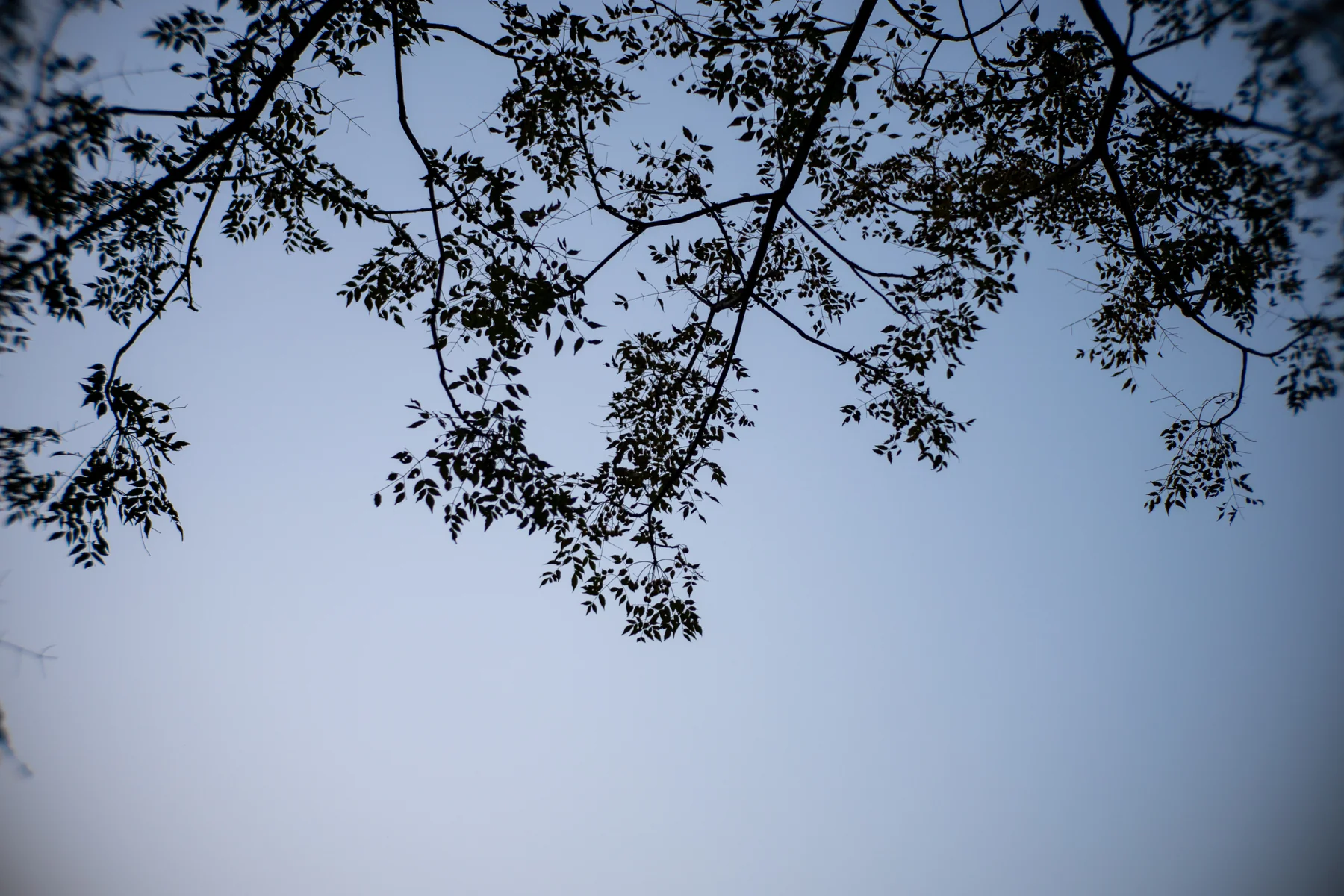 TS35 色散测试样张，光圈 f/1.6